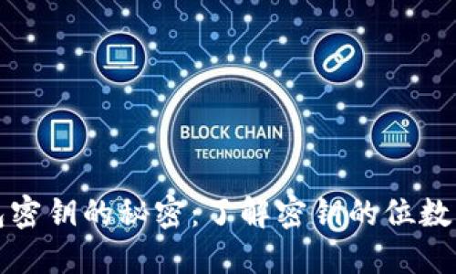   冷钱包密钥的秘密：了解密钥的位数与安全性