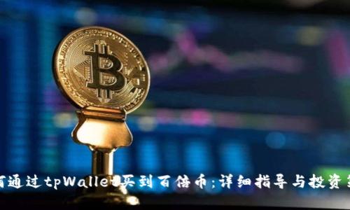 如何通过tpWallet买到百倍币：详细指导与投资策略