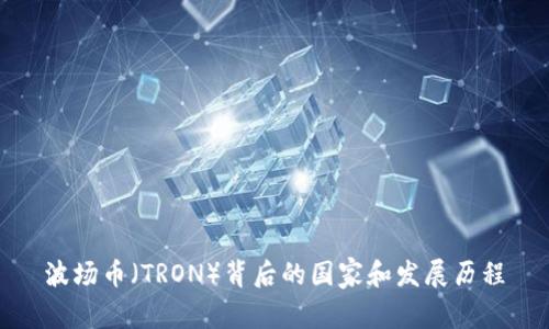 波场币（TRON）背后的国家和发展历程