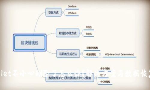 tpWallet不小心删除了怎么办？解决方案与数据恢复技巧