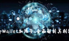 tpWallet加池子：全面解析其