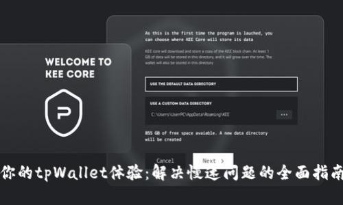 你的tpWallet体验：解决慢速问题的全面指南