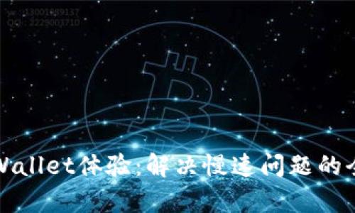 你的tpWallet体验：解决慢速问题的全面指南