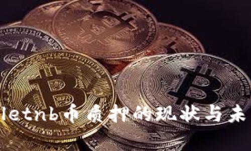 tpWalletnb币质押的现状与未来展望