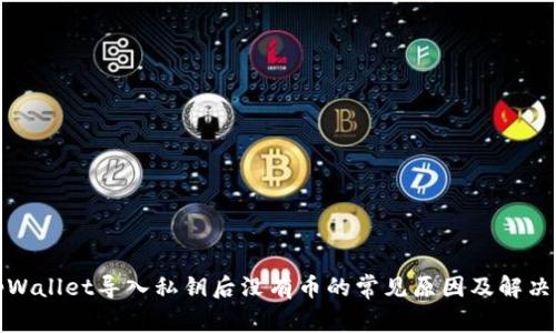 : tpWallet导入私钥后没有币的常见原因及解决方法