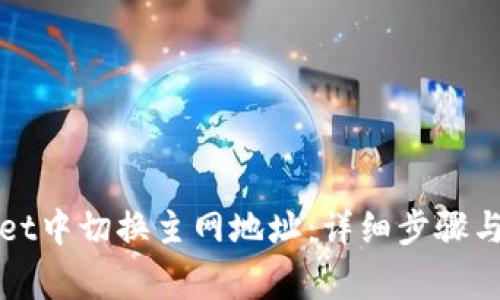 如何在tpWallet中切换主网地址：详细步骤与常见问题解答