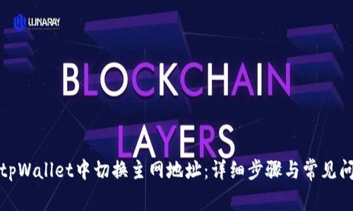 如何在tpWallet中切换主网地址：详细步骤与常见问题解答