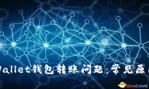 如何解决tpWallet钱包转账问题：常见原因与解决方案