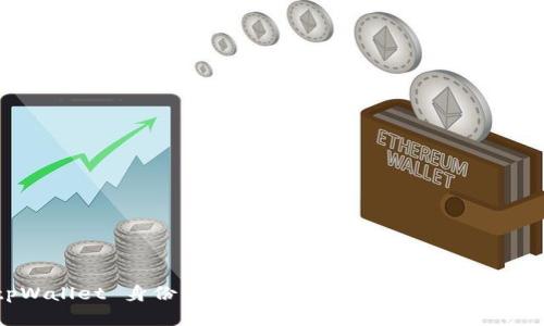 tpWallet 身份钱包：数字身份与区块链的未来