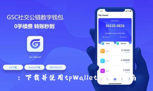 : 下载并使用tpWallet的完整指南
