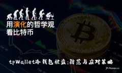 tpWallet冷钱包被盗：防范与应对策略