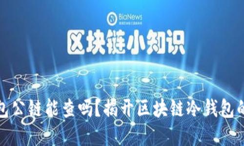 冷钱包公链能查吗？揭开区块链冷钱包的秘密