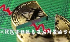 IM钱包冻结现象及应对策略分析