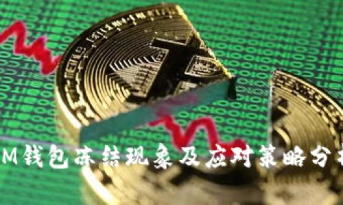 IM钱包冻结现象及应对策略分析