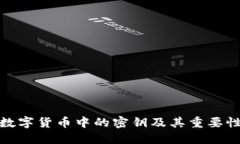数字货币中的密钥及其重要性