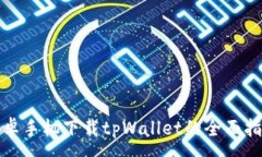 :安卓手机下载tpWallet的全面指南