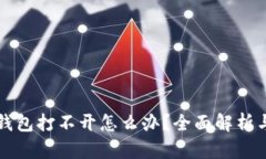 比特币冷钱包打不开怎么办？全面解析与解决方