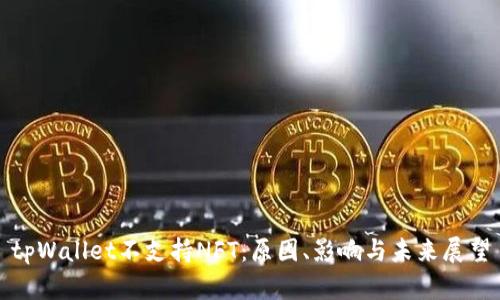 tpWallet不支持NFT：原因、影响与未来展望