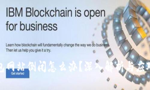 冷钱包网站倒闭怎么办？深入解析与应对策略