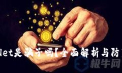 tpWallet是骗子吗？全面解析与防范措施