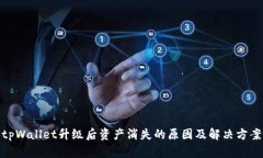 tpWallet升级后资产消失的原因及解决方案