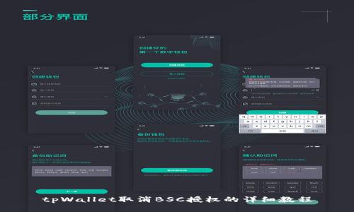 tpWallet取消BSC授权的详细教程