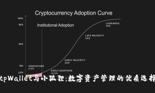 tpWallet与小狐狸：数字资产管理的优质选择