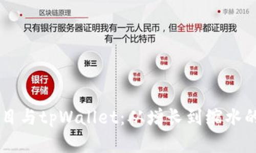 : SHIB项目与tpWallet：从增长到缩水的背后分析