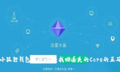 解决小狐狸钱包提币问题：找回丢失的Core的正确
